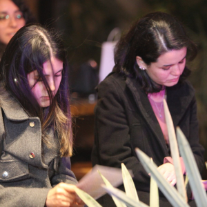 Captura de pantalla 2026-01-30 a la(s) 12.19.11 p. m.